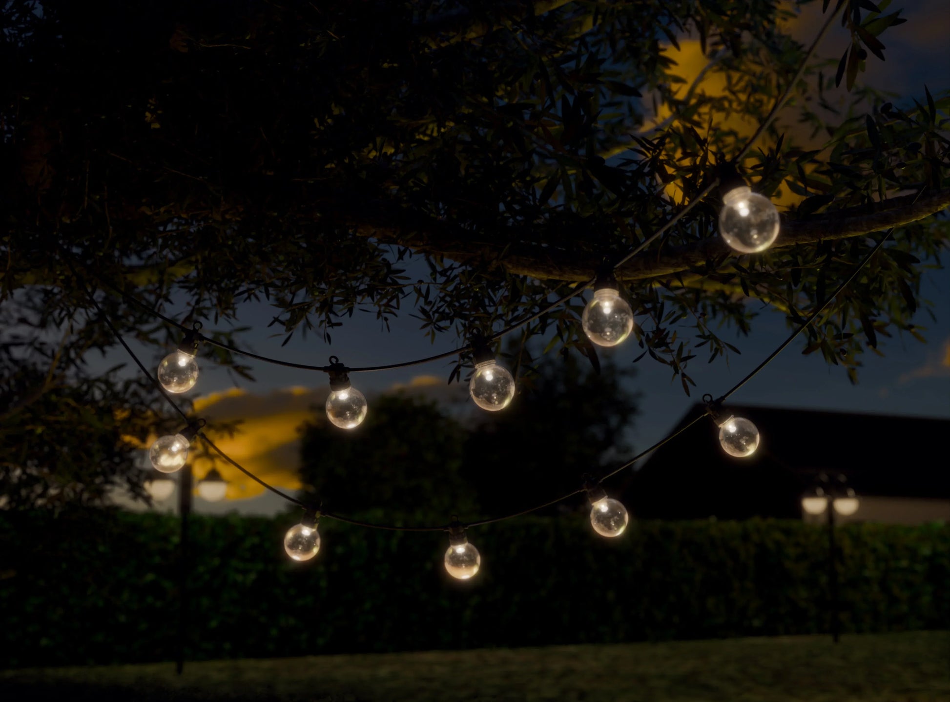 Buiten LED-lichtslinger met ronde lampjes aan boom, sfeerverlichting tuin avond