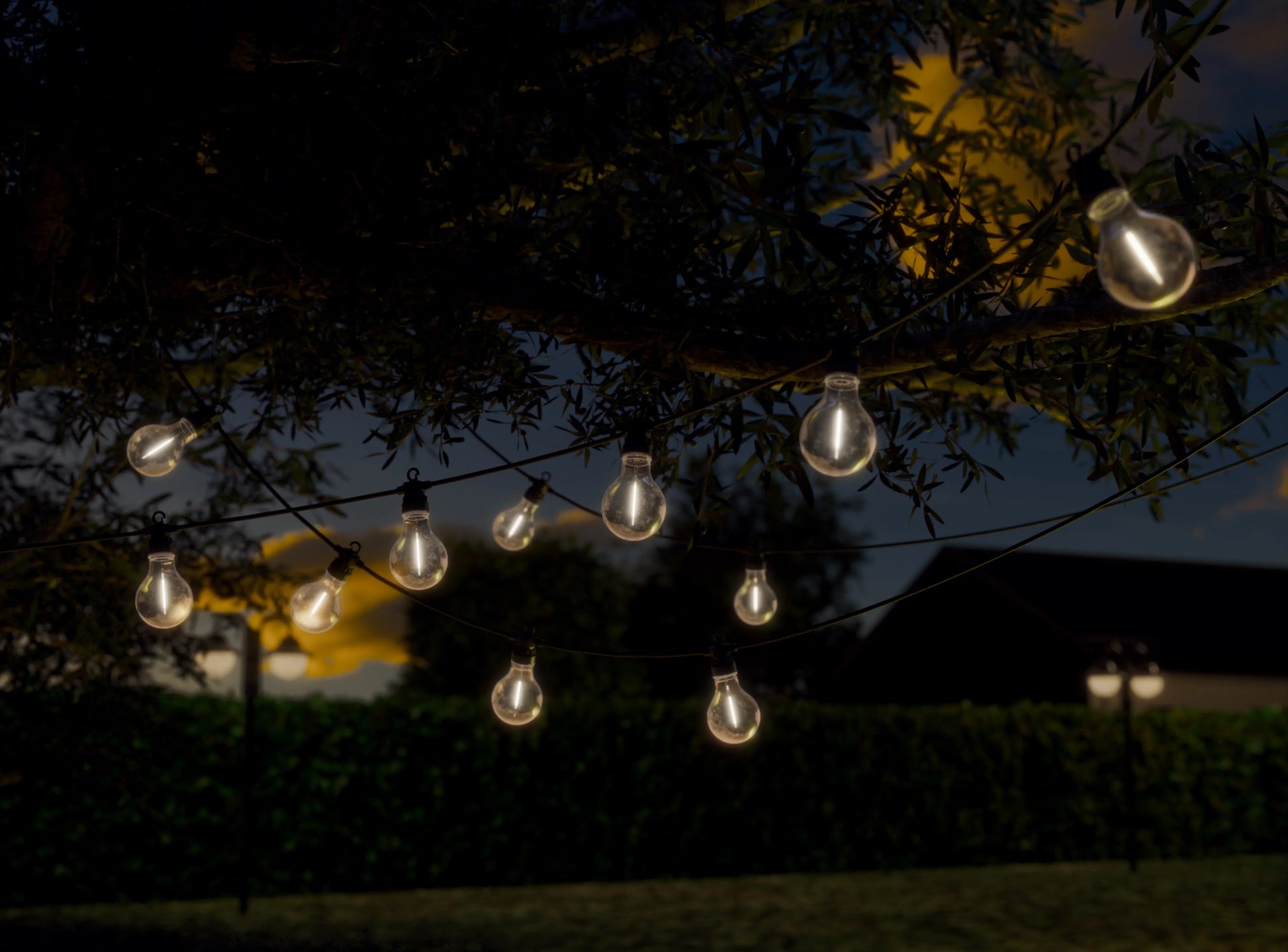 LED buitenverlichting lichtsnoer in boom bij schemer, sfeervolle tuinverlichting